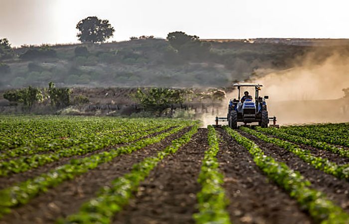 Tractor mowing crops